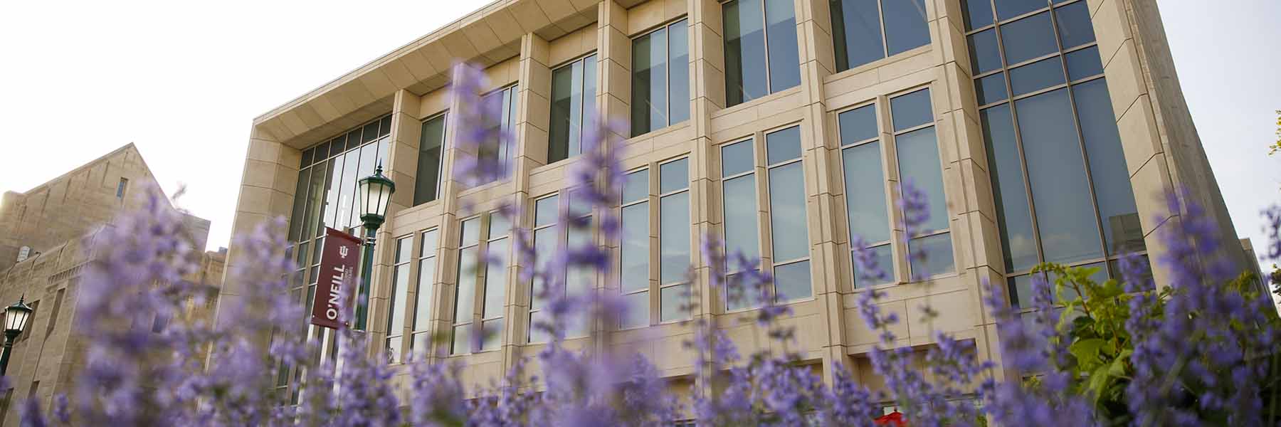 The O'Neill building behind purple spring time flowers