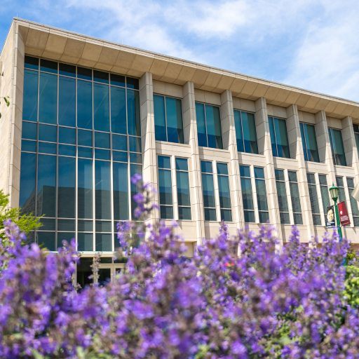 O'Neill building with purple flowers in foreground